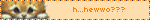 0066-orangekitty blinkie
